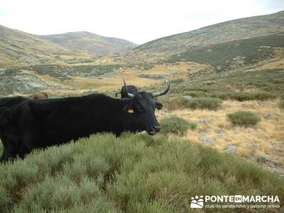 Laguna Grande de Gredos  - Sierra de Gredos - Los Barrerones; tienda de montaña madrid